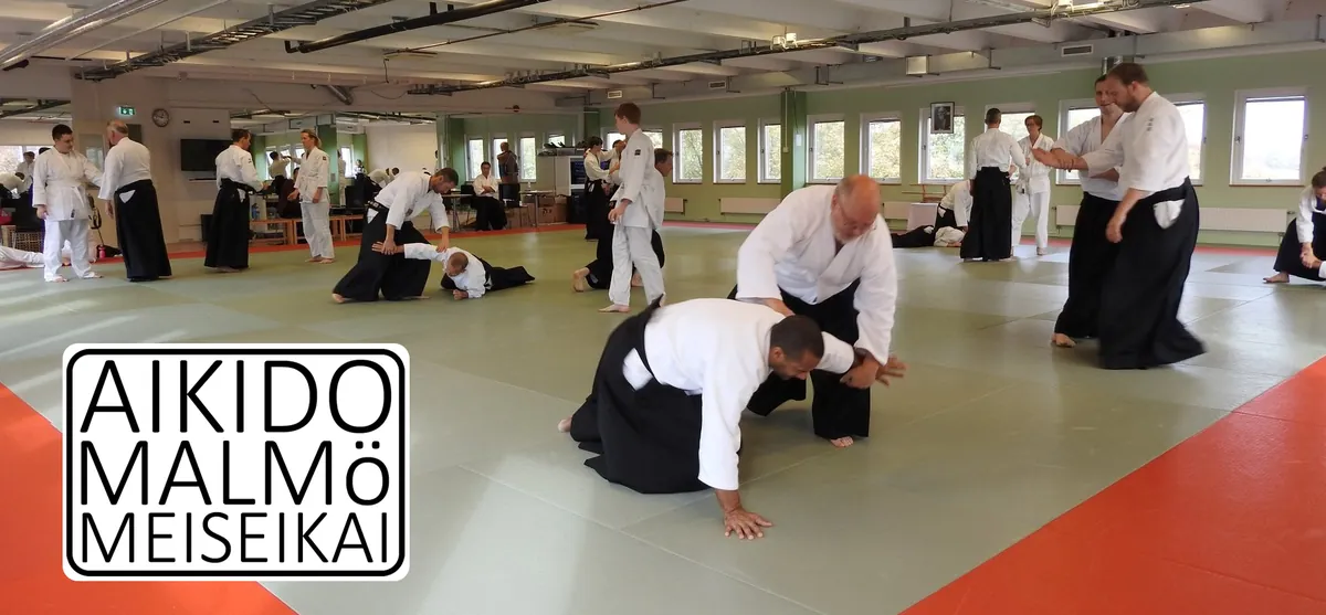 Aikido Malmö Meiseikai tränar tillsammans